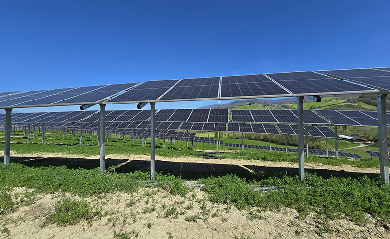 PROFENCE.ENERGY公司在意大利为葡萄园建造的1兆瓦峰值光伏农业系统已竣工。
